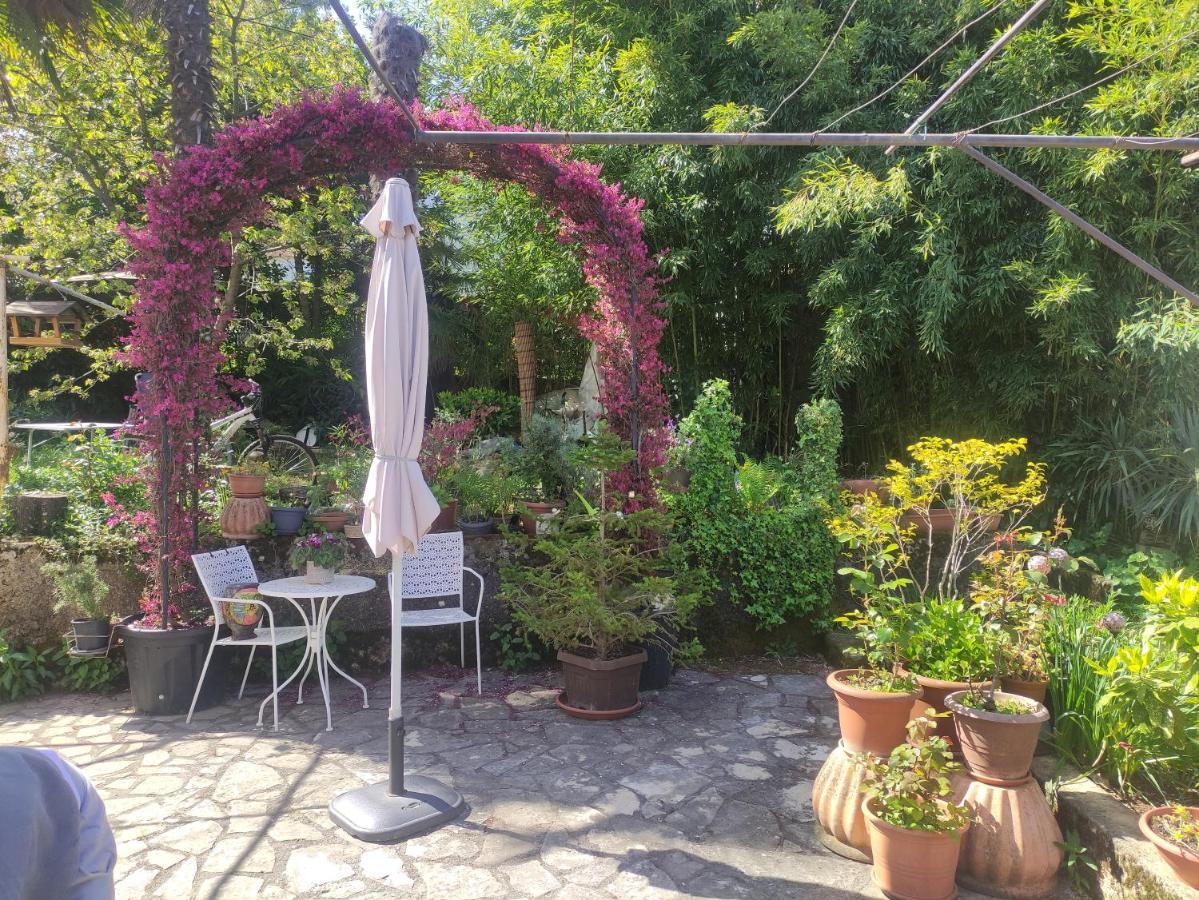 Apartment Valenta Πόρετς Εξωτερικό φωτογραφία